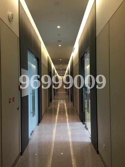 Sbf Center (D1), Office #169688432